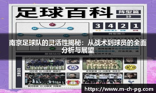 南京足球队的灵活性揭秘：从战术到球员的全面分析与展望